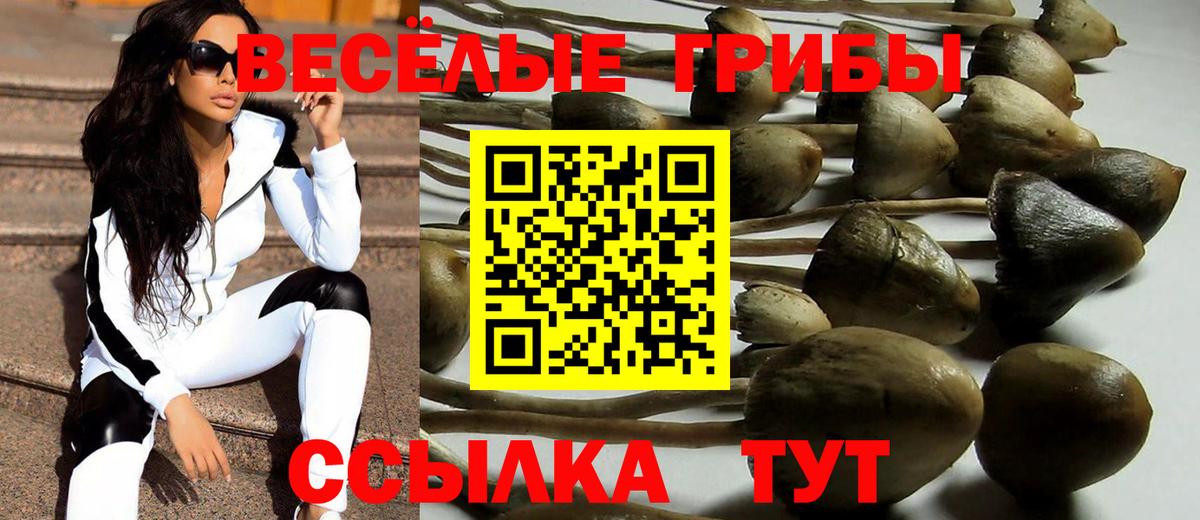 Галлюциногенные грибы MAGIC MUSHROOMS Коммунар