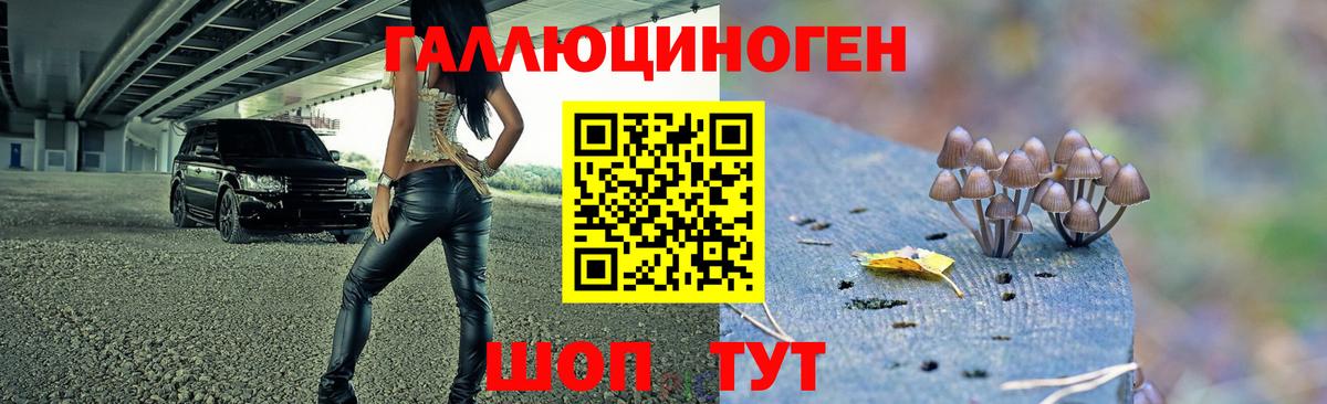 Галлюциногенные грибы прущие грибы  Вход с VPN  Коммунар 