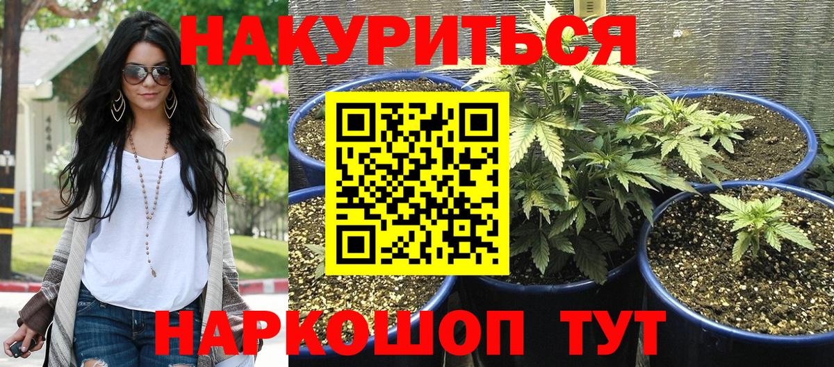 Каннабис индика  Конопля индика  Вход с VPN  Конопля LSD WEED  Коммунар  Конопля SATIVA & INDICA 